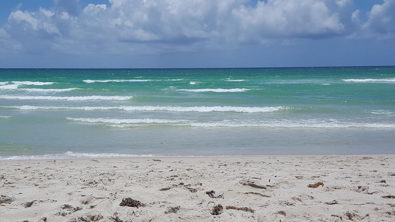 2 Bedroom 2 Bath Beachfront Condo On Miami Beach Millionaire Row Eksteriør billede